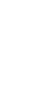 Laser - IANA