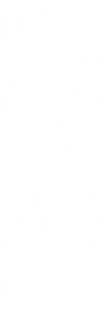Laser - OCÉANIE